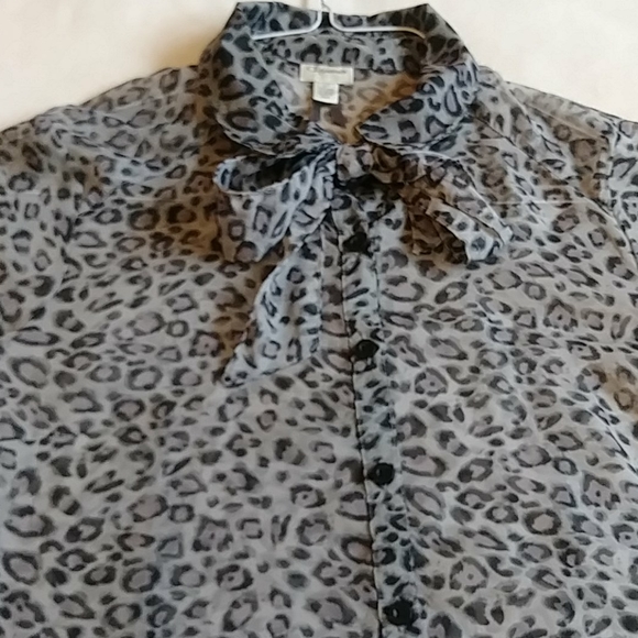 Semi Sheer Bow Tie Blouse by DYNAMTIE - Picture 9 of 10